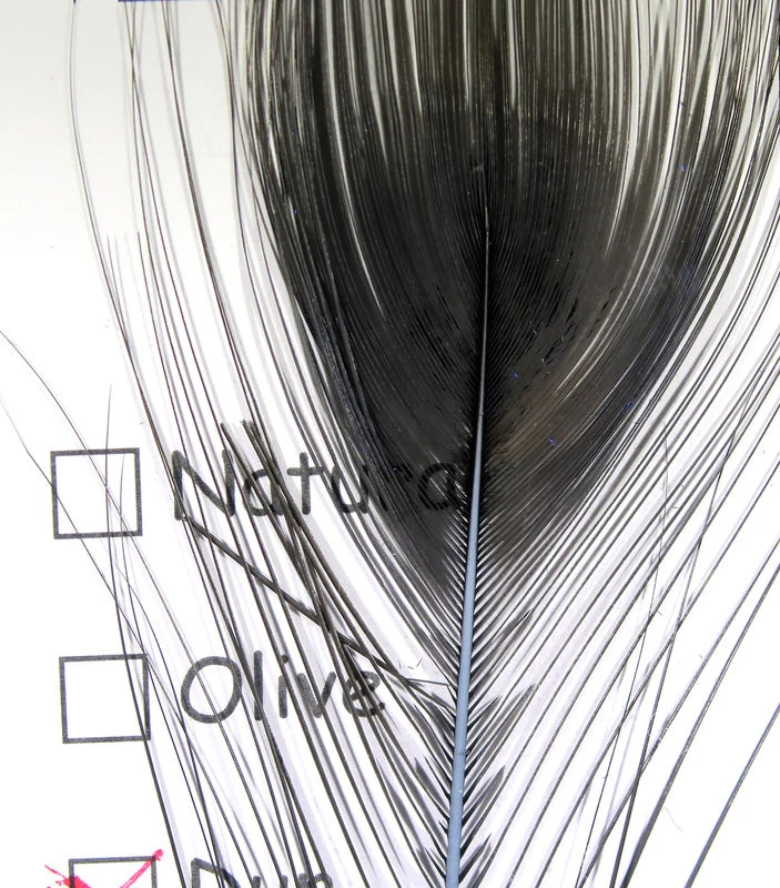 Hareline Stripped Peacock Eye Materials 3 Hareline Stripped Peacock Eye Materials