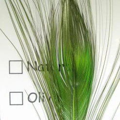 Hareline Stripped Peacock Eye Materials 9 Hareline Stripped Peacock Eye Materials