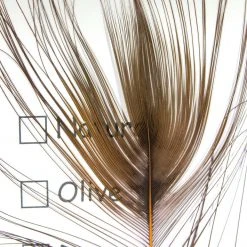 Hareline Stripped Peacock Eye Materials 12 Hareline Stripped Peacock Eye Materials