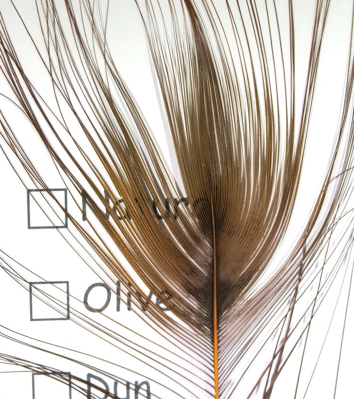 Hareline Stripped Peacock Eye Materials 7 Hareline Stripped Peacock Eye Materials