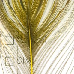 Hareline Stripped Peacock Eye Materials 13 Hareline Stripped Peacock Eye Materials