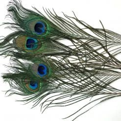 Wapsi PEACOCK EYES